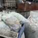 Отруїли землю небезпечними відходами: у Києві судитимуть керівників приватного підприємства