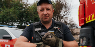Диво після вибуху: на Київщині вижив маленький і колючий звір, – ФОТО