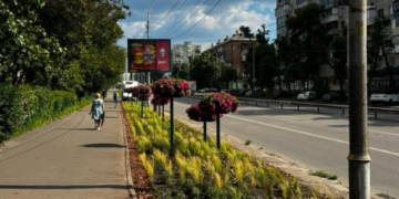 Рожева краса Києва: озеленювачі висадили сотні квітів, – ФОТО