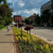 Рожева краса Києва: озеленювачі висадили сотні квітів, – ФОТО