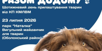 Пухнасті, веселі, активні: в Києві відбудеться день адопції тварин, – ФОТО