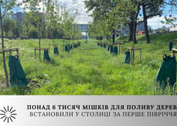 Екологічна інновація: як у Києві рятують дерева від спеки, – ФОТО