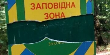 Невідомі залишають “мітки смерті” на деревах: що відбувається в Києві