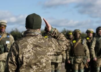 Скандал с мобилизацией отца-одиночки: в ТЦК заявили о признаках подделки документов
