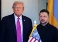 Зеленский и Трамп встретятся на этой неделе