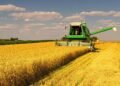 Жнива на Київщині набирають обертів: які райони вже стали лідерами зі збору врожаю