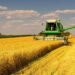 Жнива на Київщині набирають обертів: які райони вже стали лідерами зі збору врожаю