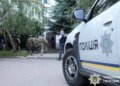 Финансисты воинской части начисляли себе фиктивные «боевые»