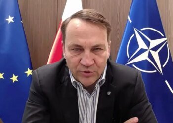 Сикорский разрушил западный миф о влиянии российских олигархов на диктатора