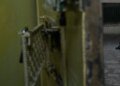 Украинских пленных перемещают под камеры: ЦПД раскрыл планы России