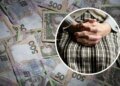 Не только субсидия: кто может получить дополнительную поддержку от государства