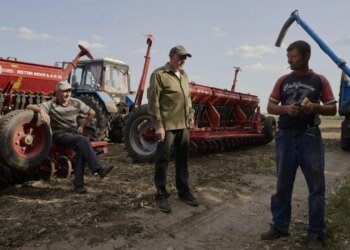 Фермеры Молдовы угрожают масштабными протестами из-за скидки для украинского транзита