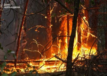 В Черкасской области лесной пожар охватил уже 100 гектаров. ФОТО