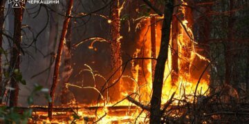В Черкасской области лесной пожар охватил уже 100 гектаров. ФОТО