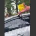 В Курортном переулке Одессы мужчину в автомобиле заблокировали и залили газом. ВИДЕО
