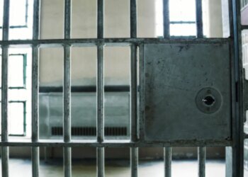 Пригласил на малину, а совершил насилие: подробности дела о растлении детей в Житомирской области