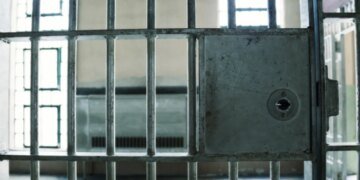 Пригласил на малину, а совершил насилие: подробности дела о растлении детей в Житомирской области