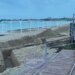 В Крыму море  на берег выбрасывает сгустки пальмового масла