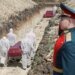 Россия теряет в Украине на 6 тысяч бойцов больше, чем вербует ежемесячно, – Guardian