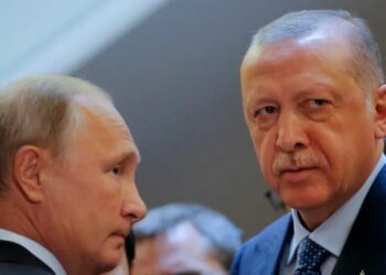 Ердоган може запропонувати Путіну план щодо України – джерело в уряді Туреччини