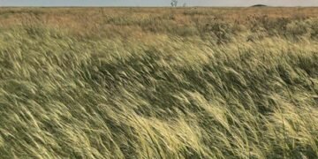 Темрява, звуки жайворонків і бабаків: у Києві відкриють незвичайну виставку