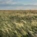 Темрява, звуки жайворонків і бабаків: у Києві відкриють незвичайну виставку