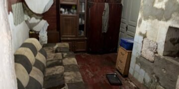 Виснажені та замкнені в клітках: у Києві розслідують жорстоке поводження з десятками доберманів