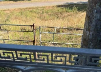 В Києві зникнуть кіоски: де готують масштабне оновлення території