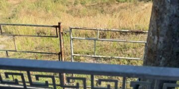 В Києві зникнуть кіоски: де готують масштабне оновлення території