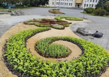 Там, де залишилася вирва, знову квітне життя: особлива клумба у Києві