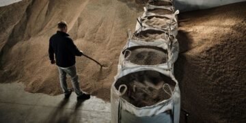 Агроэкспорт упал на 70%: министр назвал способ разблокировки портов
