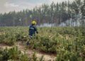 Київщина у вогні: триває масштабна лісова пожежа