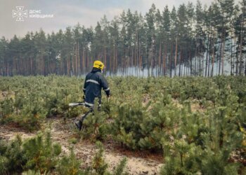 Київщина у вогні: триває масштабна лісова пожежа