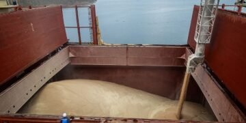 Експорт зерна з України критично скоротиться через удари РФ по портах