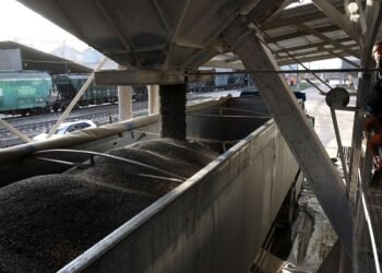 НБУ пішов назустріч аграріям: строки розрахунків за експорт збільшили