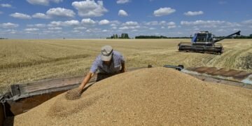 Україна може не вивезти 9 млн тонн зерна: під загрозою до 2,8 млрд доларів виручки