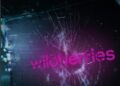 ГУР атаковало Wildberries: у российского маркетплейса упали платежи и сервисы