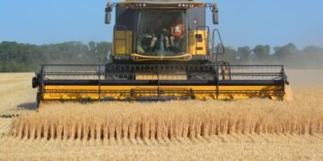 Уряд готує пакет підтримки аграріїв через російські атаки на порти