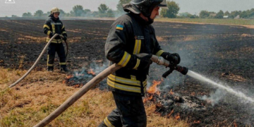 Вогонь знищив поле і забрав життя: на Київщині спалахнула масштабна пожежа, – ФОТО