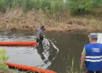 Небезпечні речовини у водоймах: в Києві виявили повторне забруднення