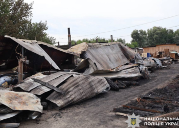Мертві тварини під завалами: на Київщині розслідують трагічний випадок, – ФОТО