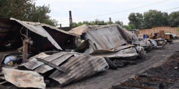 Мертві тварини під завалами: на Київщині розслідують трагічний випадок, – ФОТО