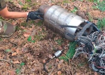 Небезпечні уламки впали просто у ліс Києва: що залишив після себе ворожий дрон