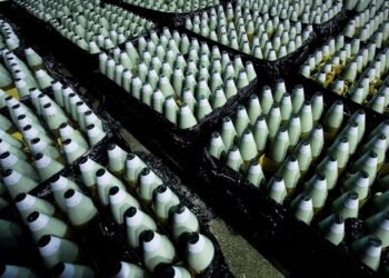 У Литві з’явиться завод боєприпасів для потреб України та НАТО