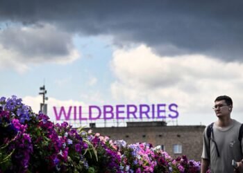 Украина вывела из строя 7 из 10 крупнейших центров Wildberries, – Минобороны