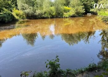 Хімічне забруднення після удару рф: що відбувається з річкою Борщагівка