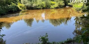 Хімічне забруднення після удару рф: що відбувається з річкою Борщагівка