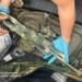 Автомат, пістолет і тисячі набоїв: у центрі Києва затримали водія з арсеналом зброї