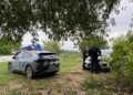 Піна на воді та тисячі мертвих риб: на Київщині масовий мор риби