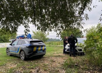 Піна на воді та тисячі мертвих риб: на Київщині масовий мор риби